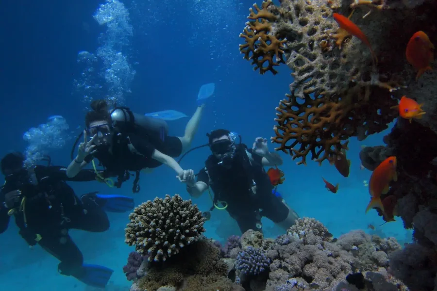 Dive into the Red Sea: Ultimate Scuba Diving Experience