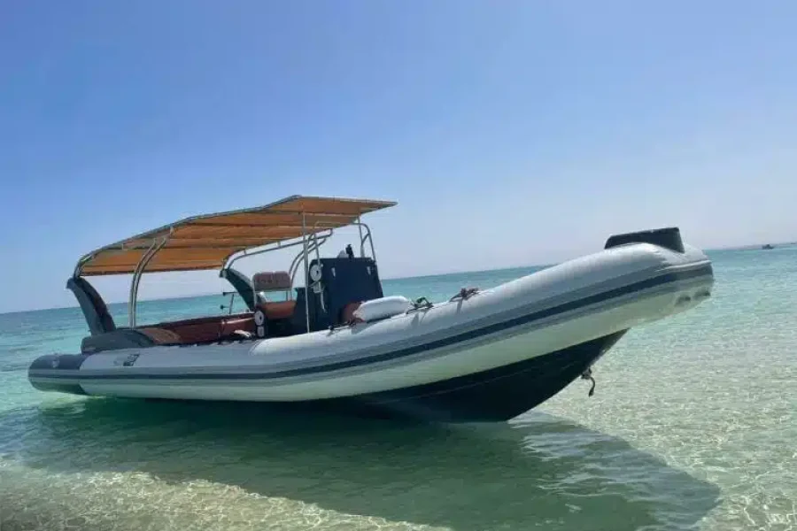 Private Speed Boat to (Dolphin Bay-orange Bay -Paradise Island)