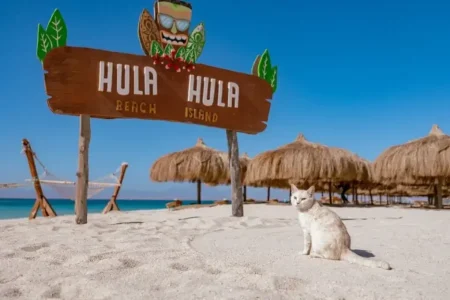 Hula Hula Island